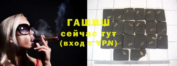 стаф Алзамай