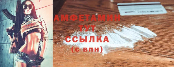 стаф Алзамай