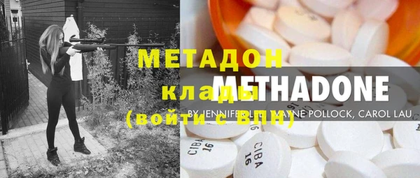 стаф Алзамай