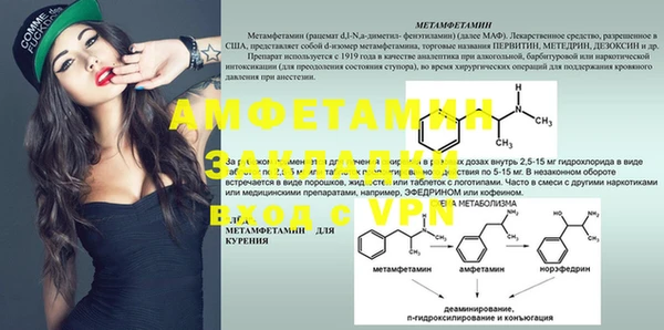 стаф Алзамай