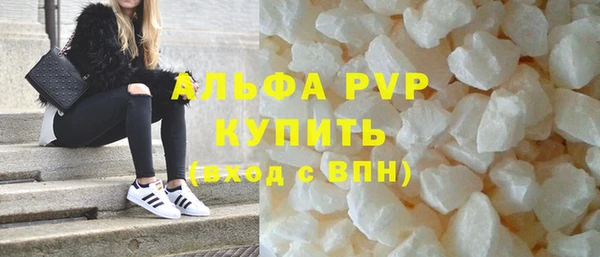стаф Алзамай
